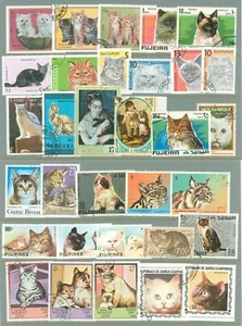 CL66 CATS Animali Domestici 32v Usato Bulgaria Filippine Laos+ - Foto 1 di 1