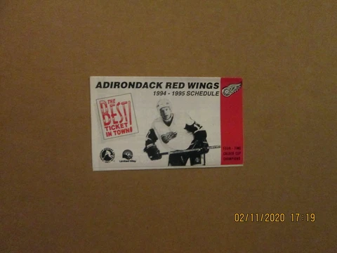 AHL Adirondack Red Wings Vintage Defunct 1994-1995 Team Logo Pocket Schedule Cover