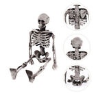 Mini Skelett Figuren für Halloween Dekor & Streiche