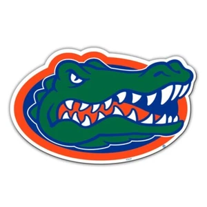 Florida Gators NCAA  12" Logo Team Magnet - Picture 1 of 3