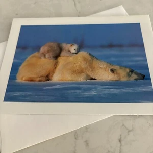 Environmental Defense Fund Polar Bear & Sleeping Cub Greetings Card w/Envelope - Picture 1 of 3