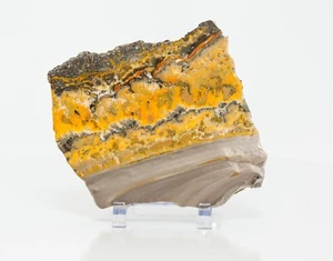 Rebanada de losa pulida de jaspe abejorro 107 mm 296 g piedra amarilla rara H2265 - Imagen 1 de 12