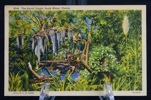 Postcard The Parrot Jungle South Miami Florida Posted 1938 Buy US Saving Bond - Imagen 1 de 2