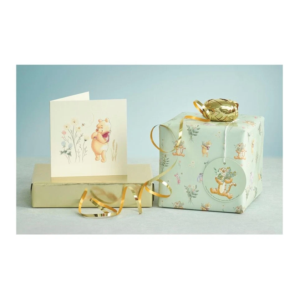 Disney WINNIE THE POOH Bear Wrap Tag and Card (blank) Suitable for all occasions - Image 1 of 1