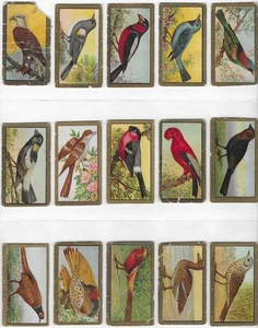 T42 SERIE PÁJARO BORDE DORADO, LOTE DE 28 DE 50, ¡MÁS DE LA MITAD DEL JUEGO! - Imagen 1 de 4