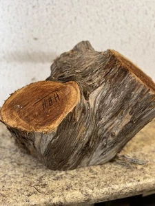 Östliche rote Zeder lebendiges Randholz aus Gliedhocke Zedernbaum Schale Drechseln - Bild 1 von 13