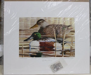 Duck Print, Duck Stamp, 2018, Artist Russell Meyer, signed Limited Edition - Picture 1 of 4