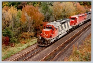 CN 5000 - 5391 - 9306 Train, CN Bayview, Ontario 1996 4x6 Photo - Bild 1 von 2