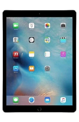 Apple iPad Pro 2. Gen 64GB, Wi-Fi, 12,9 Zoll - Space Grau - Bild 1 von 4