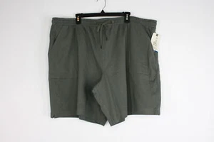 Women's Terra & Sky Knit Bermuda Short Green 3X(24W-26W) - Picture 1 of 4