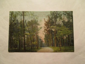 Memphis Tennessee Hartriegel Drive Overton Park TN Postkarte - Bild 1 von 2