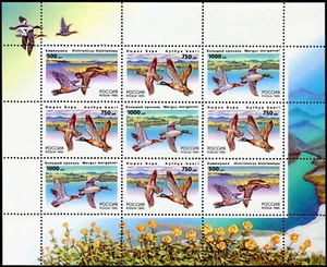 Russia-1995. Ducks. Mini-sheet - Picture 1 of 1