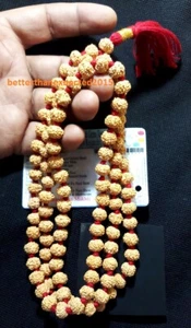 Superior Quality 6 Mukhi (Face) Rudraksh Mala Rudraksha - 109 beads 9-10 mm ~Lab - Picture 1 of 4