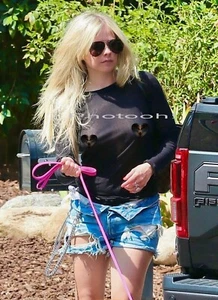 Avril Lavigne - Celebrity Collectible Photo Actress Model Sexy Image #8744 - Picture 1 of 1