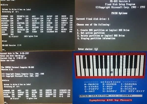 5x MS-DOS System/Boot-Disks version 2.11,3.31,4.01,5.00,6.22 on 5.25" 360Kb Disk - Bild 1 von 12