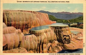 Vintage Linen Yellowstone MT Postcard Mammoth Hot Springs Terraces Haynes 11148 - Picture 1 of 3