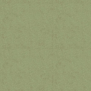 Dan DiPaolo Enjoy The Little Things Crackle Y4065-24 Olive BTHY NEW! - Picture 1 of 3