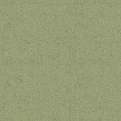 Dan DiPaolo Enjoy The Little Things Crackle Y4065-24 Olive BTHY NEW! - Image 1 of 3