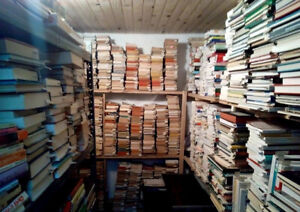 Gros lot de livres d'Histoire et Politique - Déstockage total librairie 