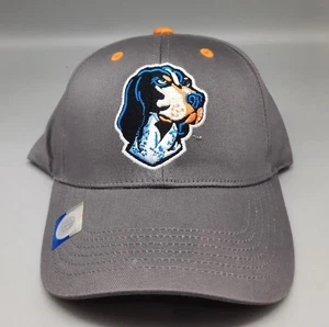 Captivating Brand Tennessee Hound dog Hat  Snapback cap adjustable grey - Picture 1 of 6