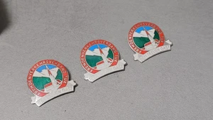 Anstecknadel , Österreich Lanersbach ,Fremdenverkehrsverband Tux  - Bild 1 von 2