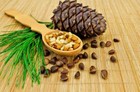 Pinus sibirica seeds, Siberian pine graines, Siberian cedar FREE SHIPPING