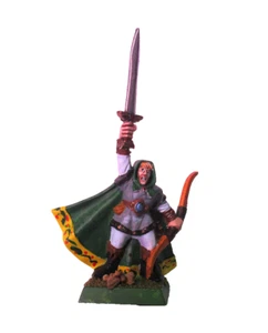 Warhammer Quest AOS Wood Elf Hero Rare Painted - Picture 1 of 2