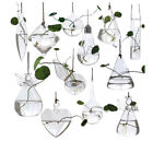Home Planters Clear Glass Flower Plant Hanging Vase Ball Terrarium Container_wf