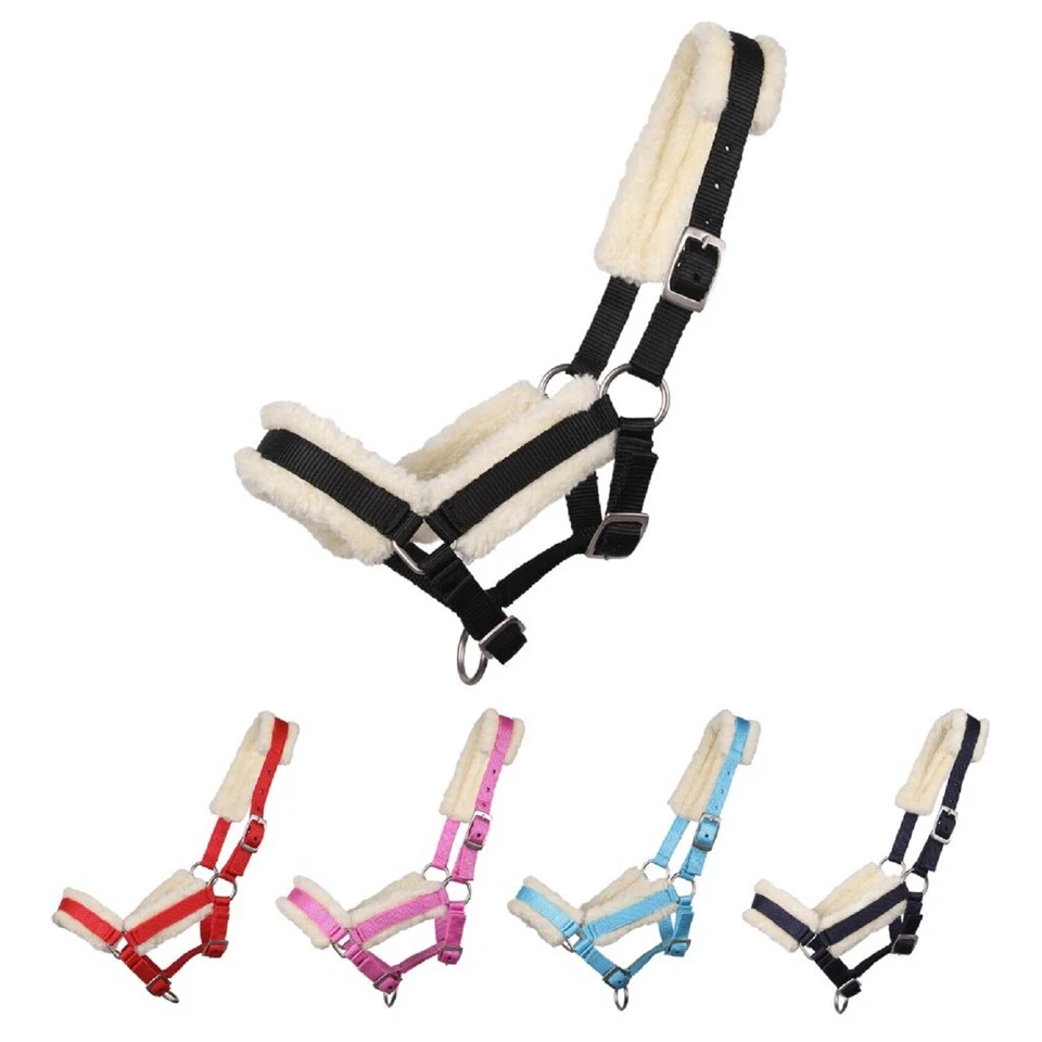 Fohlenhalfter mit Pelz - Bild 1 von 1