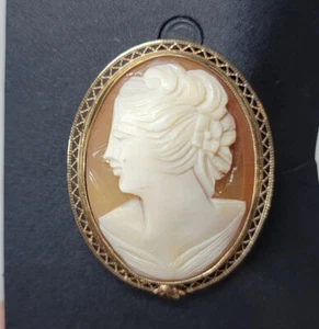 Vintage 12kt Gold gefüllt Harz Kamee Brosche Halskette Creolen Pin - Bild 1 von 10