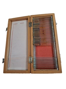 9 Prepared Microscope Slides in Wooden Case – Mixed Biology Samples - Picture 1 of 13