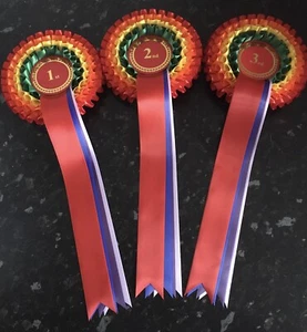 Rainbow Themed 4 Tier Rosettes, 1-3, 1-4 or 1-6 in quality single faced satin. - Picture 1 of 10