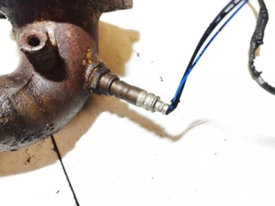 Sensor lambda Kia Sorento 2003 4 hilos, blanco negro azul 554 #1495758-55 Foto 1 de 4