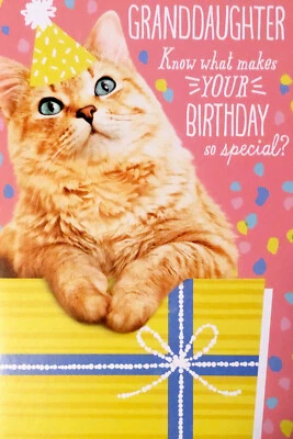 Cartão comemorativo feliz aniversário neta maravilhosa tão especial 5,5”x8” Hallmark - Imagem 1 de 4