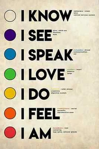 Vintage Knowledge Yoga Poster, Yoga 7 Chakras, I know I see I speak Home Decor - Picture 1 of 1