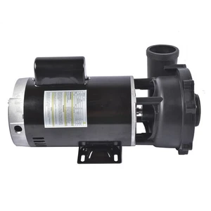 Plastics Executive 56 Frame 4 HP Spa Pump 230-Volt Hot Tubs 3721621-1D 37216211D - Picture 1 of 11