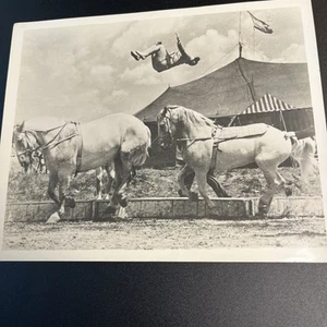 Vtg 1940's Zoo Circus Show Photo 8X10 Acrobats Horse Act Big Top Performer Art - Picture 1 of 7