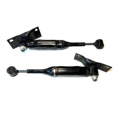 Amortecedores de suspensão quádruplos laterais eixo diferencial traseiro Ford Mustang 1999-2004 - Imagem 1 de 4