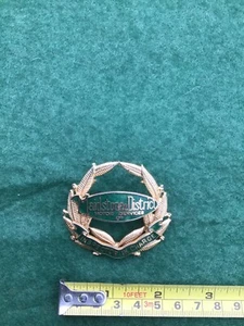 Vintage Maidstone & District Motor Services Ltd Bus Inspector in Charge Badge - Picture 1 of 5