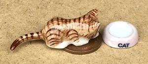 Casa de muñecas gato a rayas marrones con un tazón de jardín de leche escala 1:12 ZHK tumdee - Imagen 1 de 6