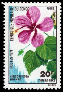 P.R. KONGO J51 - Tropische Blüten "Hibiscus rosa sinensis" (pb90808) - Bild 1 von 1