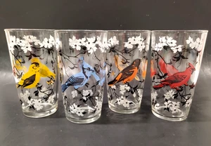 4 Vintage Cardinal Blue Jay Goldfinch Oriole Vogel Hartriegel Trinkgläser MÄNGEL - Bild 1 von 8