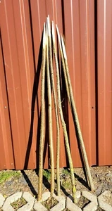 6 Stockbrot Stöcke, Marshmallow Spieße, 110cm Haselnuss, unbehandelt, +Rezepte - Bild 1 von 1