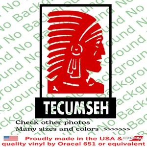 Tecumseh Shawnee Chief Warrior Vinyl Dei Cut Decal for Native American FY145 - Foto 1 di 8