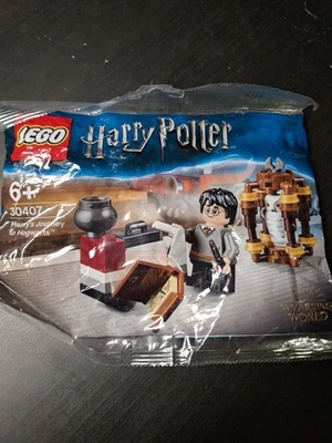 LEGO Harry Potter: Harry's Journey to Hogwarts (30407) - Image 1 of 2
