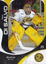 2007-08 Sarnia Sting #2 Peter DiSalvo