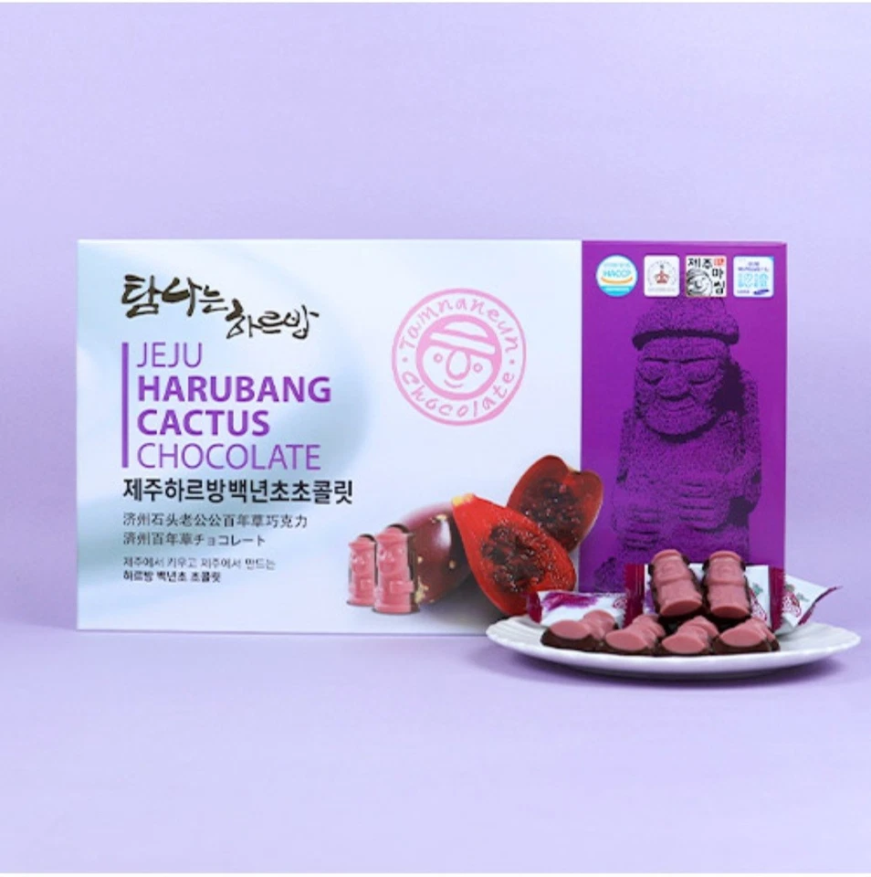 Chocolate Jeju Harubang Cactus - Image 1 of 3