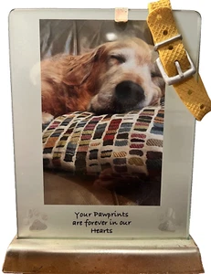 Enesco Glass Dog Photo Frame on Silver Base &Removable Ceramic Dog Collar 7.5x6" - Picture 1 of 5