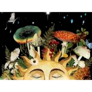 Tapestry Wall Hanging Sleeping Shroom Sun 5 ft x 4 ft Home Decor - Picture 1 of 4