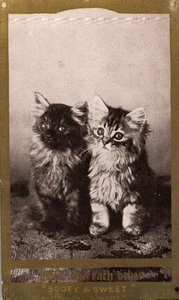 Postal vintage de Two Kittens SOOTY & SWEET 1910 - Imagen 1 de 2